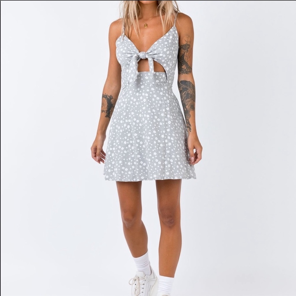 Princess Polly Dress 👗